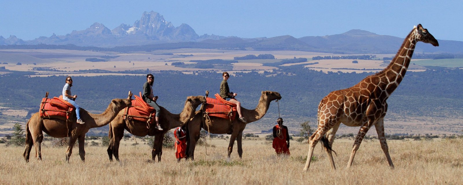 9 Day Northern Kenya Signature Safari